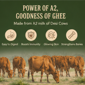 Desi Cow Ghee | 100% Natural & Pure | Traditional Hand-Churned Ghee